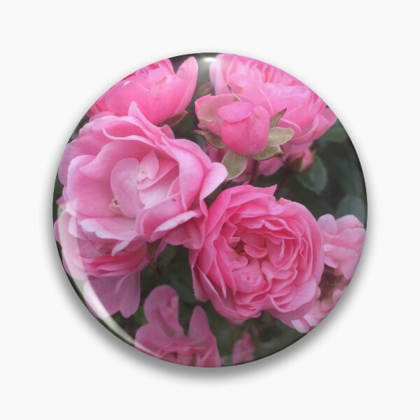 Item preview, Summer Roses designed and sold by Nicola Boden.