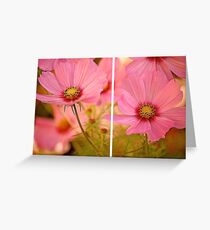 September Cosmea 2013 Greeting Card