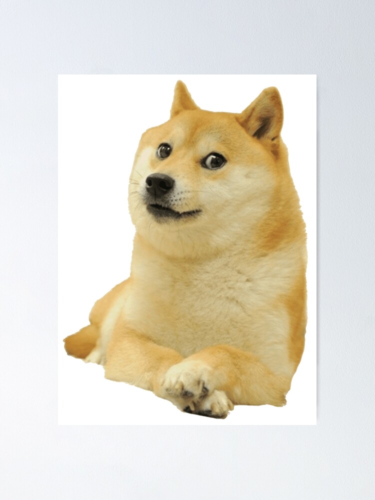 Doge Poster By Noorool Redbubble - doge texture roblox