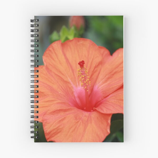 Item preview, Hibiscus designed and sold by StampCity.