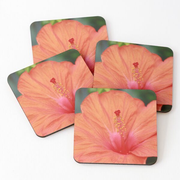 Item preview, Hibiscus designed and sold by StampCity.