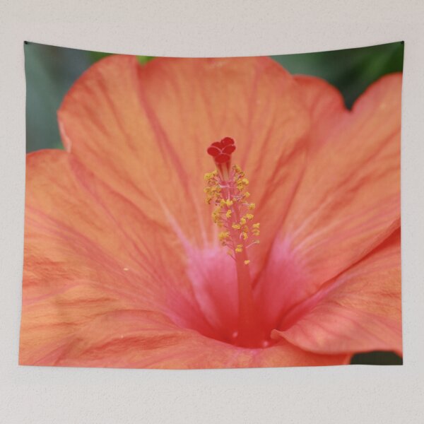 Item preview, Hibiscus designed and sold by StampCity.