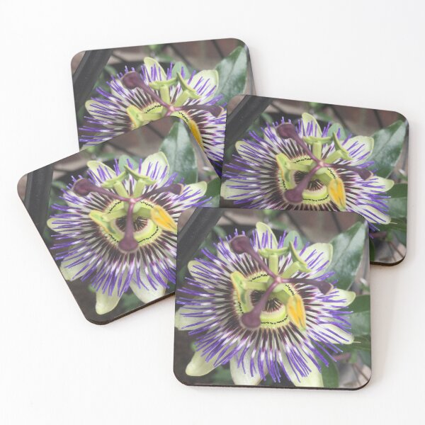Item preview, Passion Flower designed and sold by Nicola Boden.