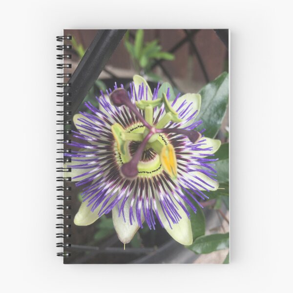 Item preview, Passion Flower designed and sold by Nicola Boden.