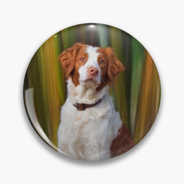 Item preview, Beautiful Brittany designed and sold by Helen Green.