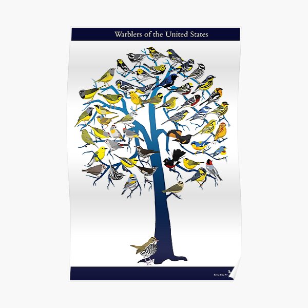 Warbler Tree Poster