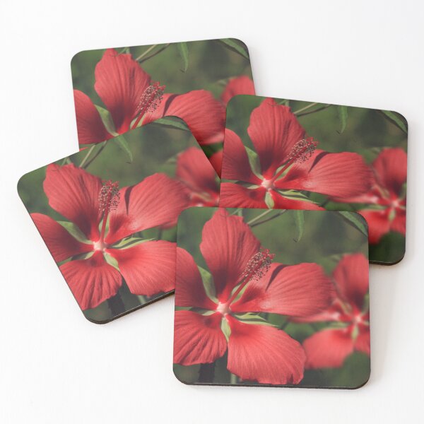 Item preview, Scarlet Rosemallow designed and sold by StampCity.
