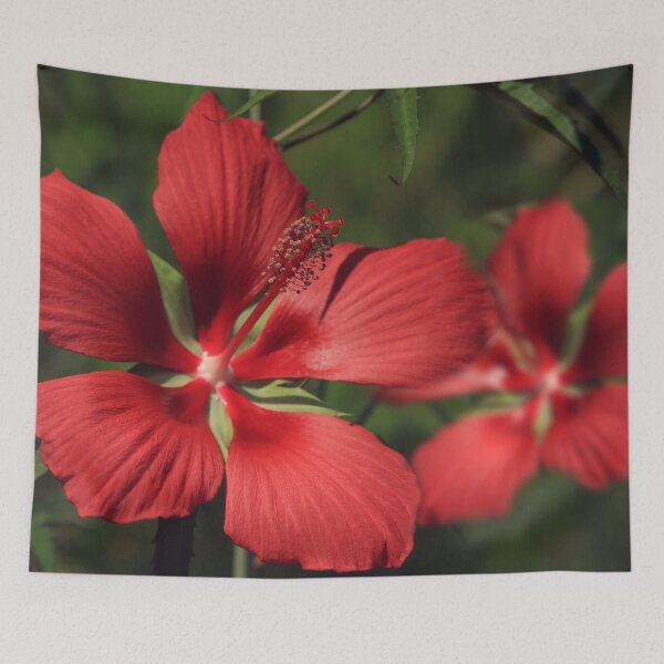 Item preview, Scarlet Rosemallow designed and sold by StampCity.