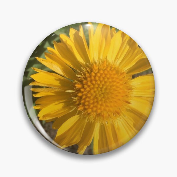 Item preview, Yellow Gaillardia designed and sold by Nicola Boden.