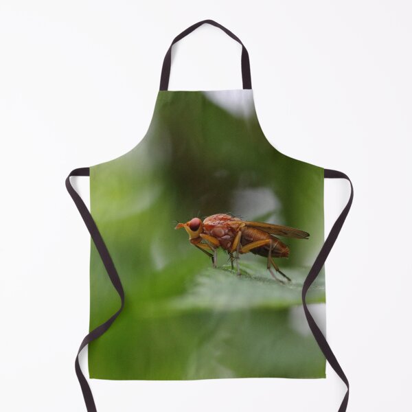 Item preview, Norellia spinimana designed and sold by cuprum.