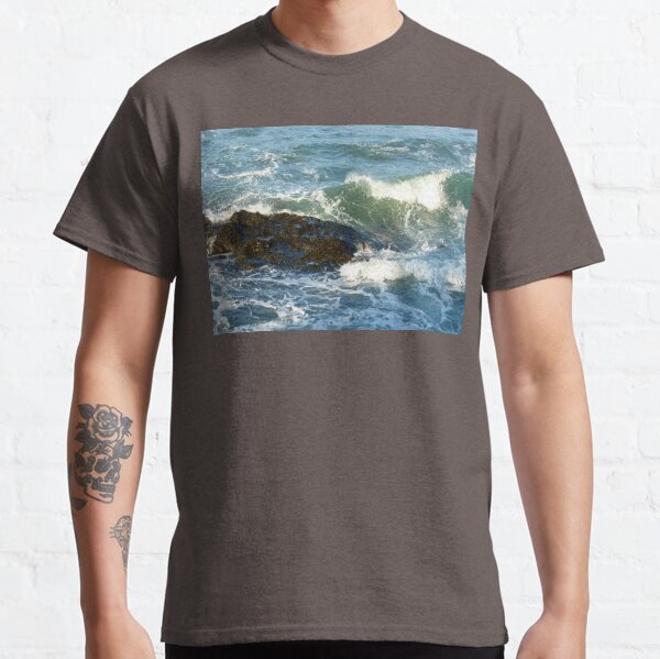 Late afternoon light from Tongue Point Classic T-Shirt