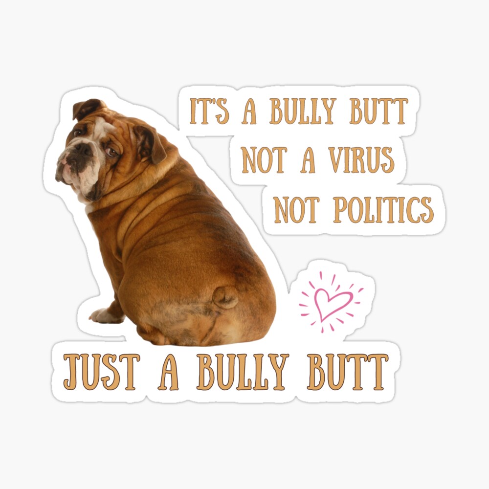 Bully butts always make me smile :)  English bulldog funny, Bulldog funny,  English bulldog