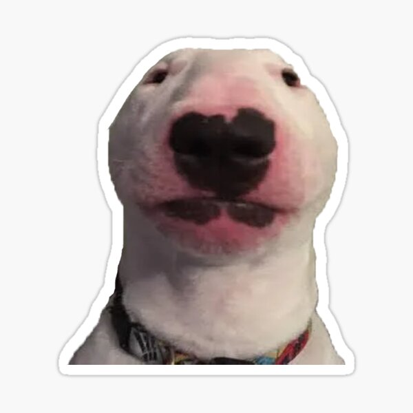 Item preview, Walter dog designed and sold by maddiexgrace16.