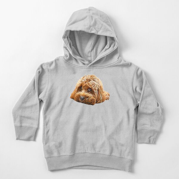 cavapoo hoodie