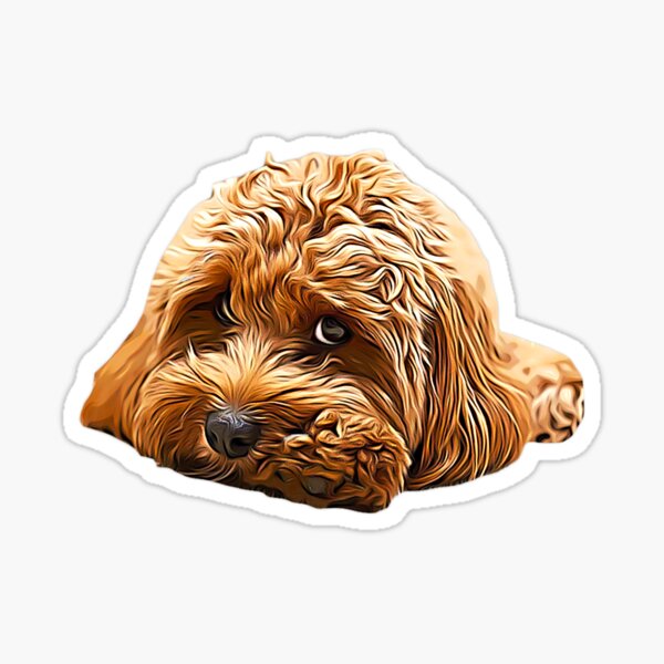 Cavapoo Cavoodle Cockerpoo Puppy Designer Dog Poodle Mix Sticker