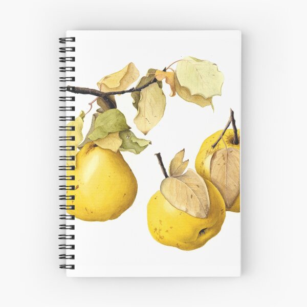 Item preview, Quinces designed and sold by Cheryl Hodges.