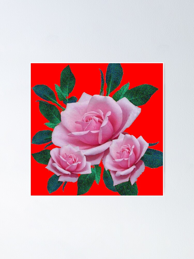 Pink Garden Roses Red Color Art Poster By Sharlesart Redbubble