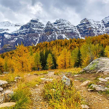 Artwork thumbnail, Larch Valley by RKSDESIGN