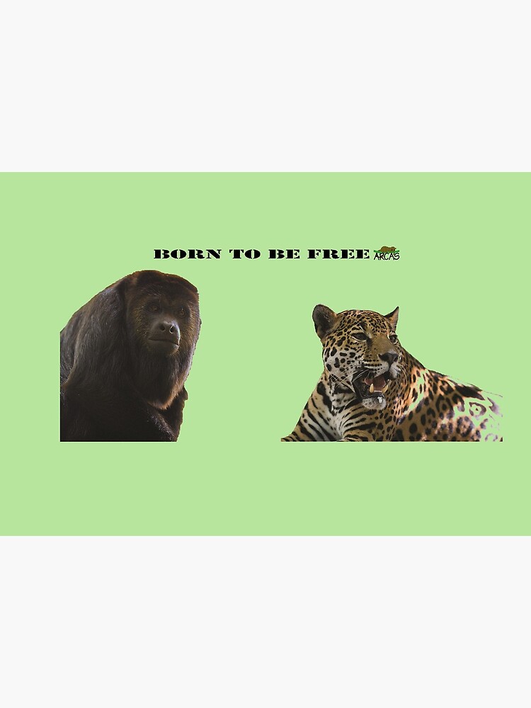 Born to be free jaguar and monkey by ARCASrescate