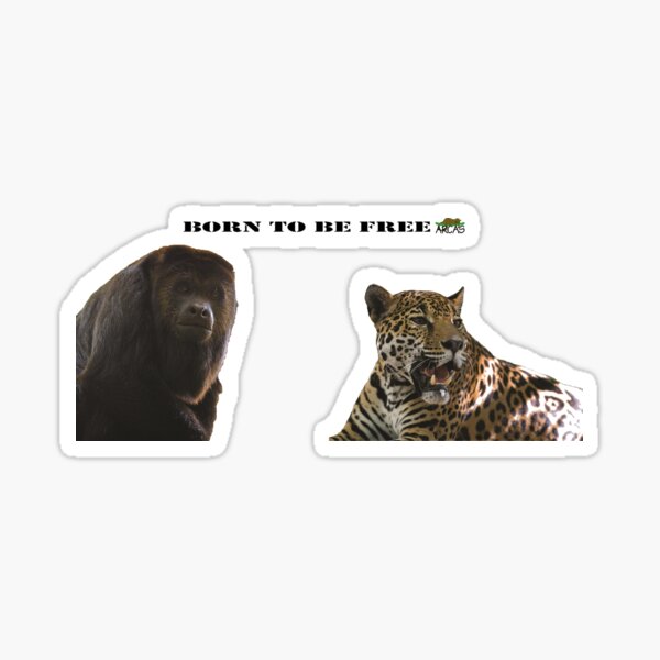 Born to be free jaguar and monkey Sticker