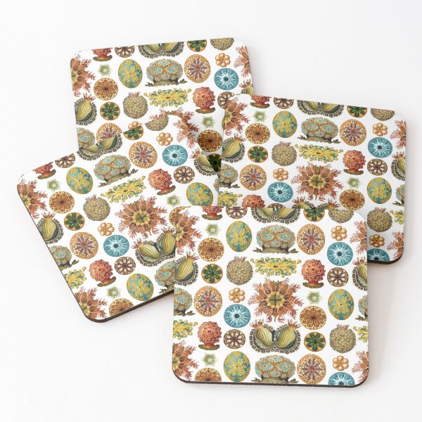 Item preview, Ernst Haeckel Ascidiae Sea Squirts White Background designed and sold by aimeewilson.