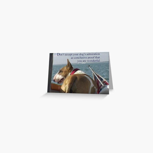 Sayings 'Dont Accept your Dogs admiration that you are wonderful' Greeting Card