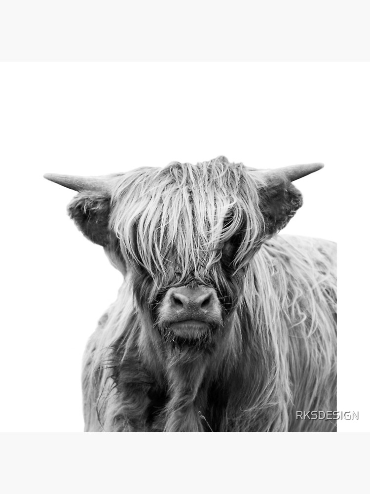 Highland Cow by RKSDESIGN