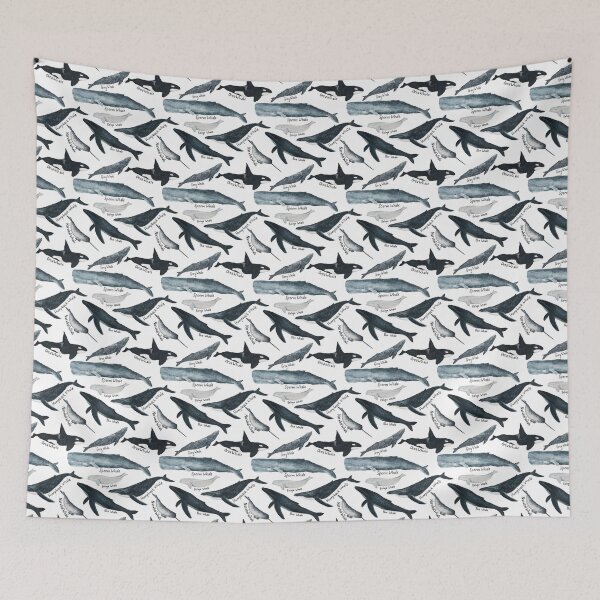 Item preview, Whale Study designed and sold by KristinaTrott.
