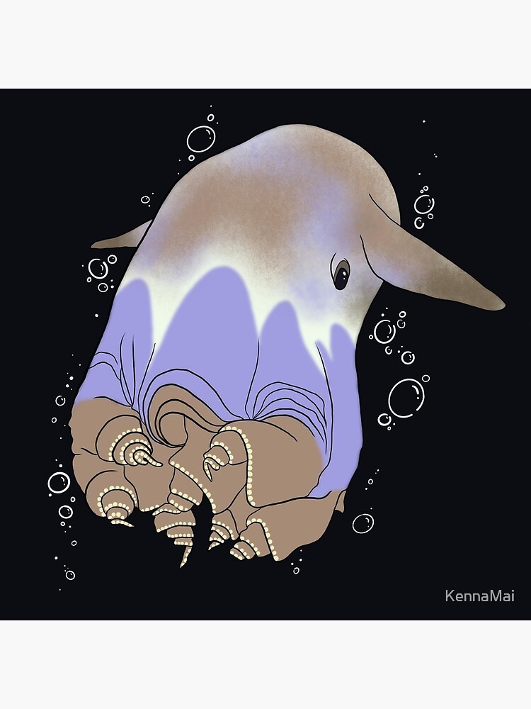 squishable dumbo octopus