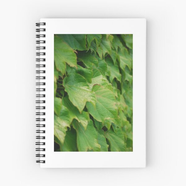 Item preview, Leaves designed and sold by abbyckong.