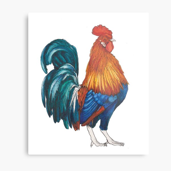 Bright Watercolor Rooster Painting Metal Print