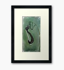 Insect Framed Print