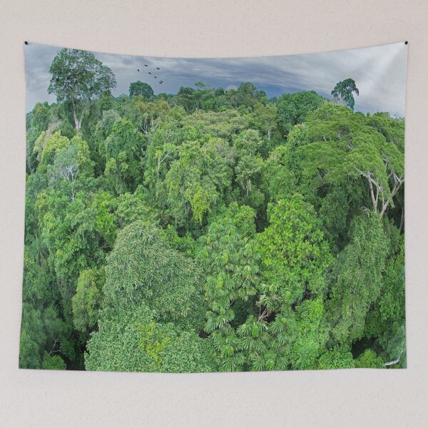 Item preview, Tropical Amazonian Rainforest Magnificent Aerial View designed and sold by UrTops.