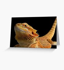 bearded dragon Greeting Card