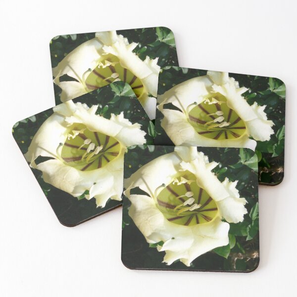 Item preview, White Flower designed and sold by Monika's Shop.