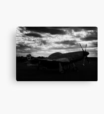 Mustang Dawn Canvas Print