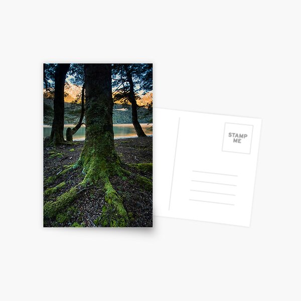 Mavroa. Postcard