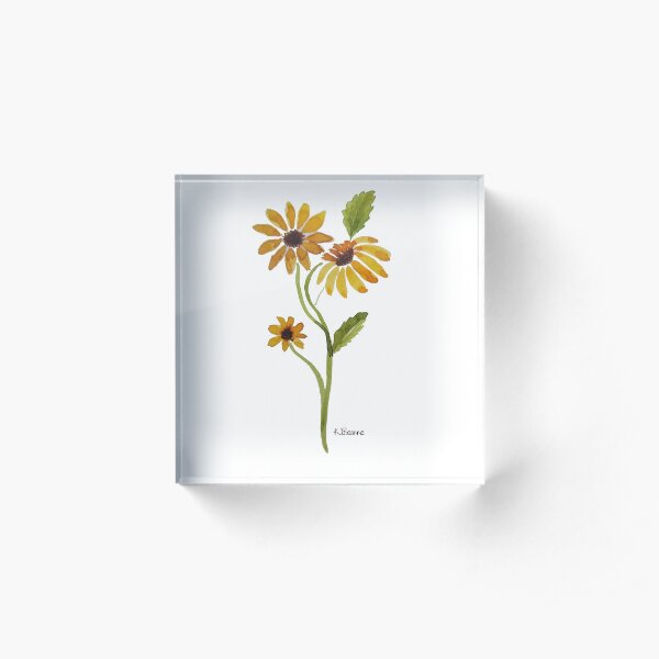 brown eyed Susan Acrylic Block