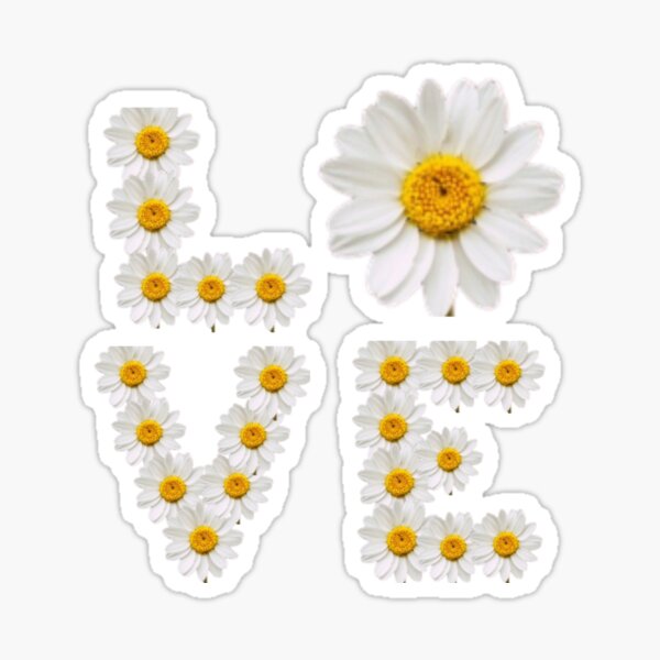 Love white and yellow flower power daisy Sticker