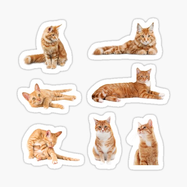Item preview, Ginger Cat Sticker Pack Collection  designed and sold by littleprints.