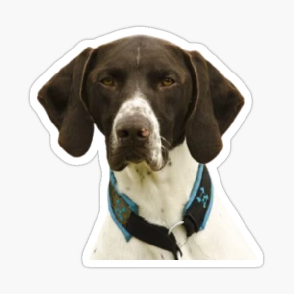Dog Sticker