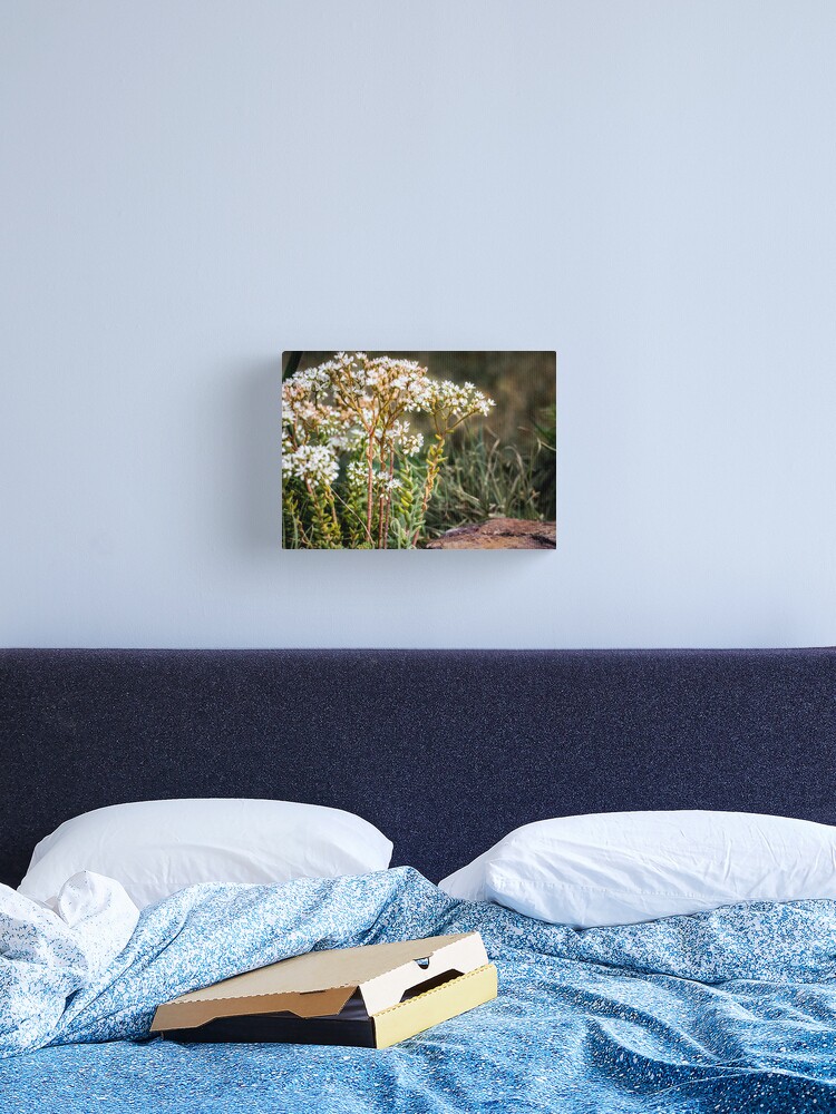 Thumbnail 1 of 3, Canvas Print, Flower Forrest designed and sold by littleoldhag.