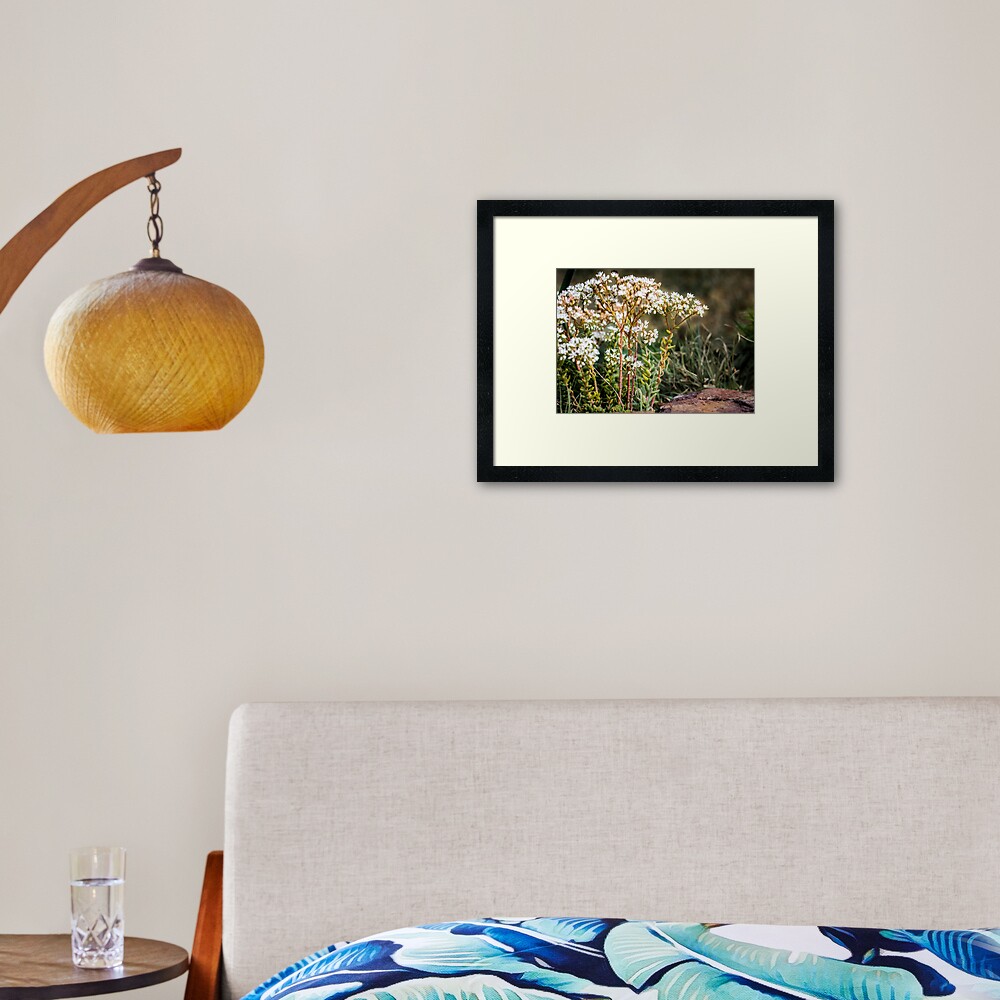 Item preview, Framed Art Print designed and sold by littleoldhag.