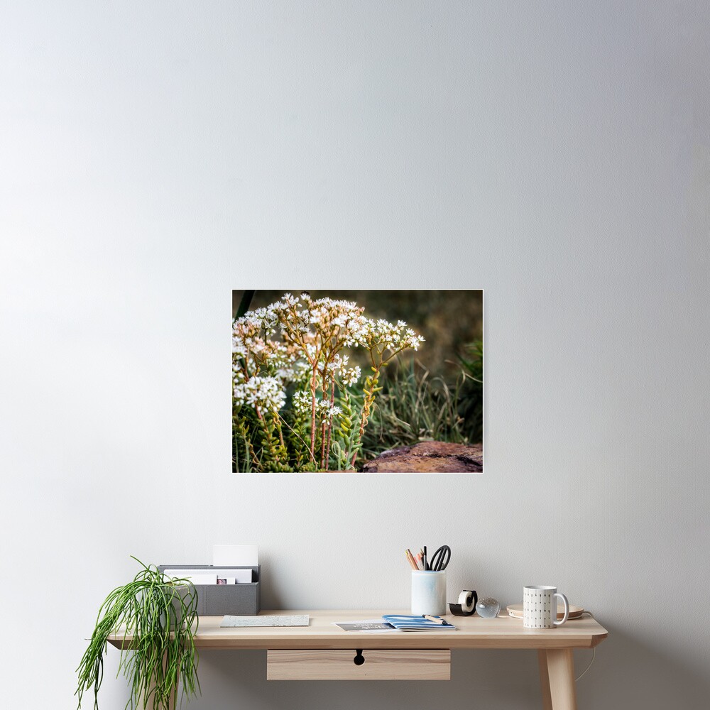 Item preview, Poster designed and sold by littleoldhag.