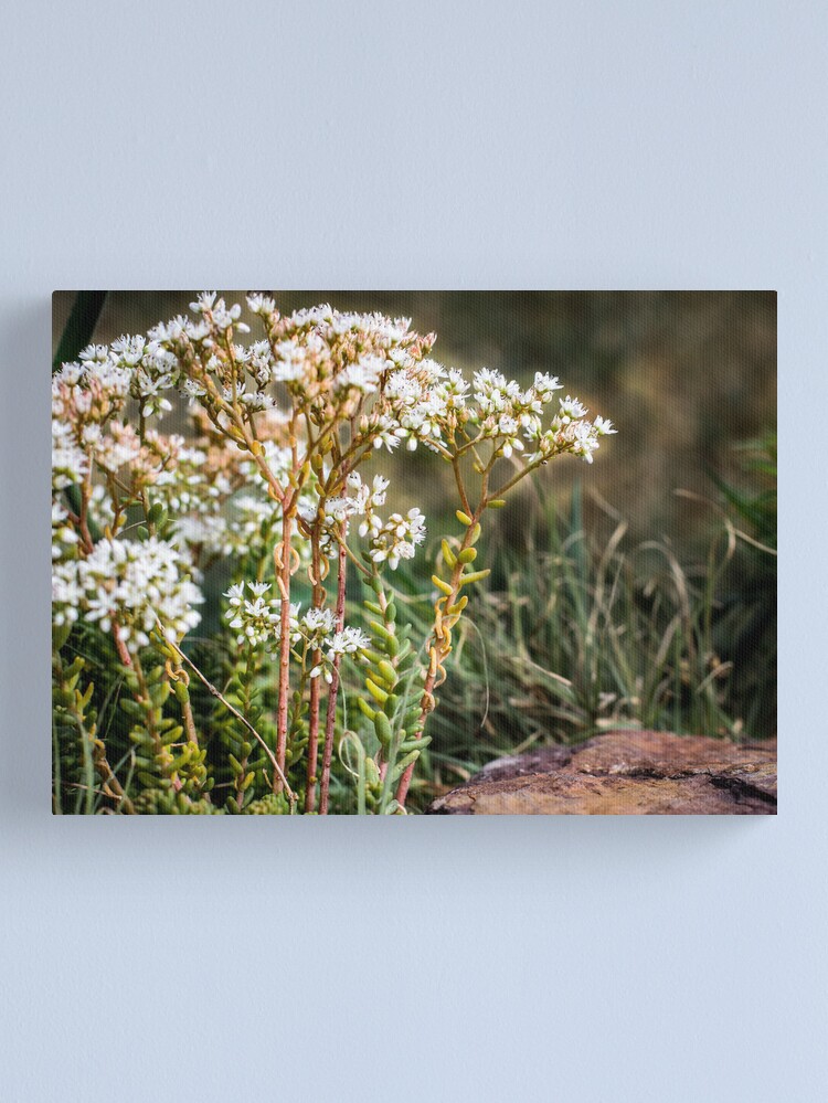 Thumbnail 2 of 3, Canvas Print, Flower Forrest designed and sold by littleoldhag.