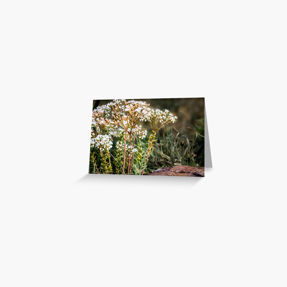 Item preview, Greeting Card designed and sold by littleoldhag.
