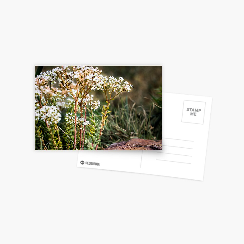Item preview, Postcard designed and sold by littleoldhag.