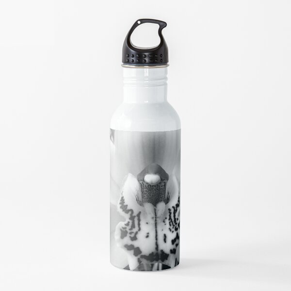 Orchid B&W Water Bottle