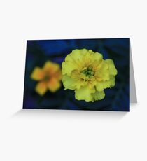 Sweetness Greeting Card