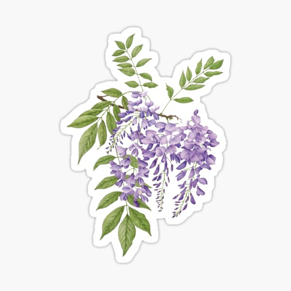 Item preview, Violet wisteria designed and sold by Guajesf.